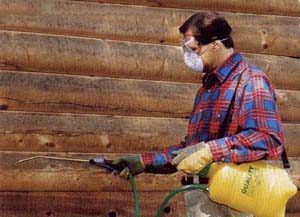 Participate in the maintenance of your home.
